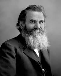 D.D. Palmer